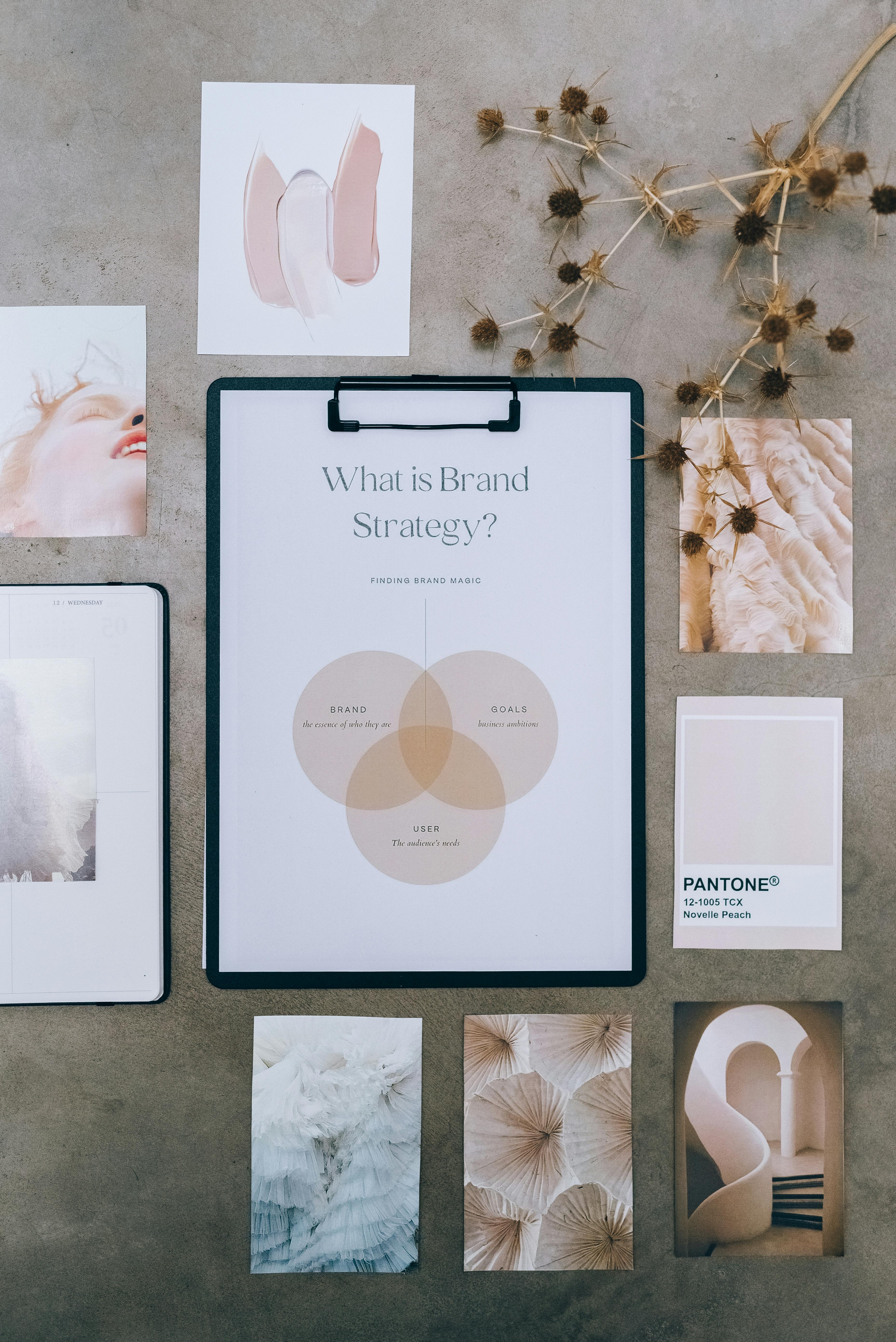Luxury "Aesthetics & Wellness" Mini Design-Kit
